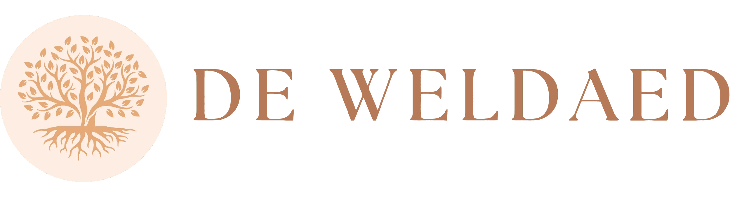 Professionele website laten maken - De Weldaed