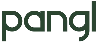 Website laten maken Aalten - PANGL Pannenrek